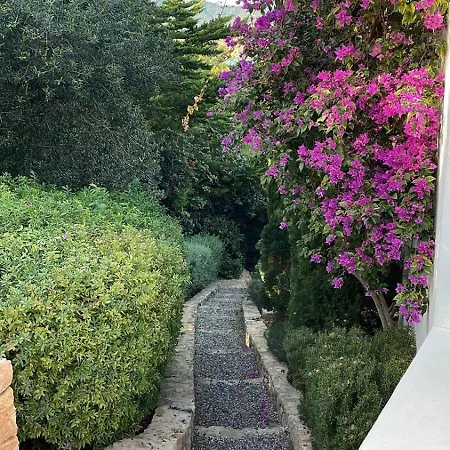 Jondal * San José